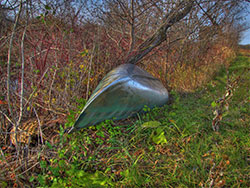 Marsh Wildlife Trail